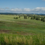 IMG 3732