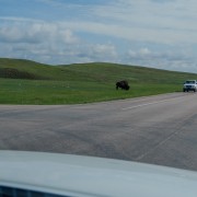 IMG 3733