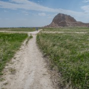 IMG 3951