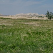 IMG 3952