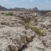 IMG 3961