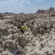 IMG 3969