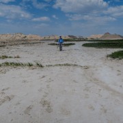 IMG 3972