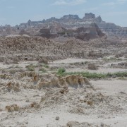 IMG 3973
