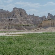 IMG 3975