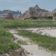 IMG 3976