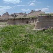 IMG 3980