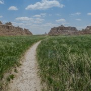 IMG 3984