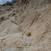 IMG 3998
