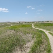 IMG 4017