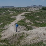 IMG 4022