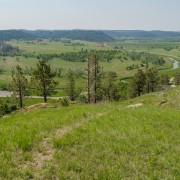 IMG 4084