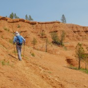 IMG 4098