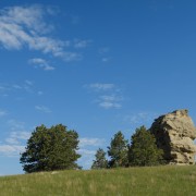 IMG 4155