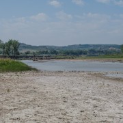 IMG 4161