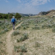 IMG 4165