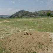 IMG 4171