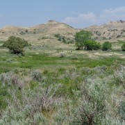 IMG 4180