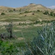 IMG 4185