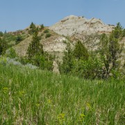 IMG 4193