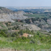 IMG 4199