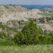 IMG 4203