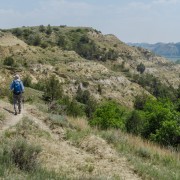IMG 4217