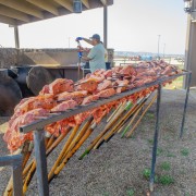IMG 4237