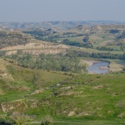 IMG 4252