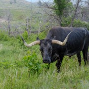 IMG 4281