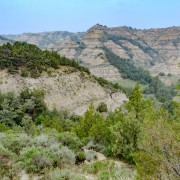 IMG 4287