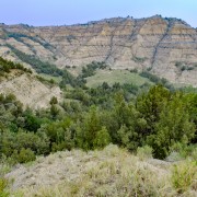IMG 4288