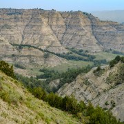 IMG 4296