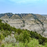 IMG 4302