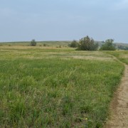 IMG 4312