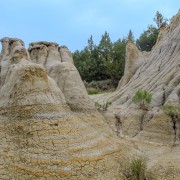 IMG 4329