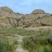 IMG 4340