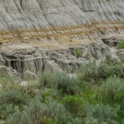 IMG 4342