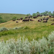 IMG 4345