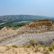 IMG 4359