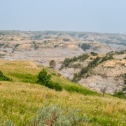 IMG 4365
