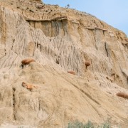 IMG 4370