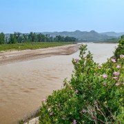 IMG 4377