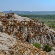 IMG 4381