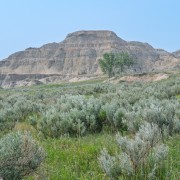 IMG 4389