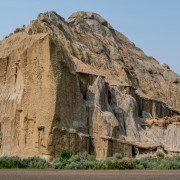 IMG 4390