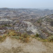 IMG 4395