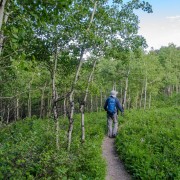 IMG 4427