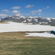 IMG 4464