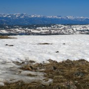 IMG 4468